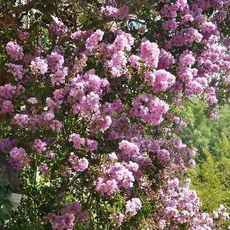 Сasa de vacaciones Chateau Du Roc