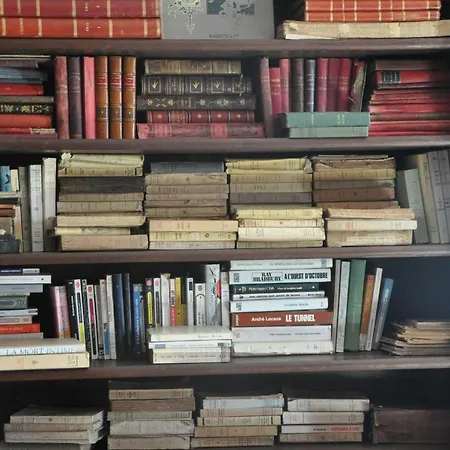 Chateau Du Roc * Saint-Thomas-de-Cônac