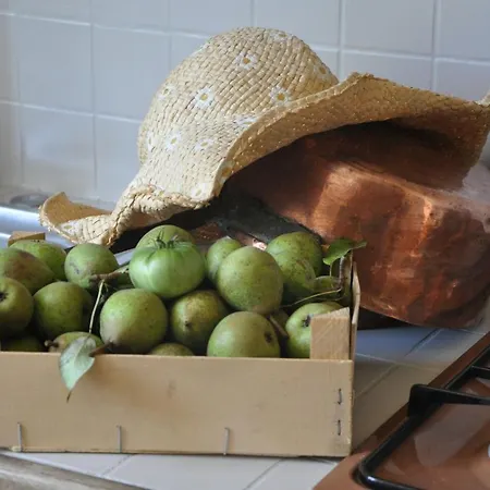 Chateau Du Roc Σπίτι διακοπών Saint-Thomas-de-Cônac